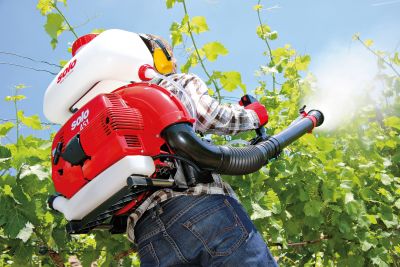 Eine Person in Schutzkleidung benutzt an einem sonnigen Tag in einem Weinberg einen SOLO Motorsprüher